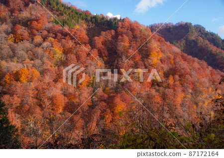 Autumn-colored mountain Nakanomata Valley A view along the forest road leading to Yasu-no-Taki, Kitaakita City, Akita Prefecture 87172164