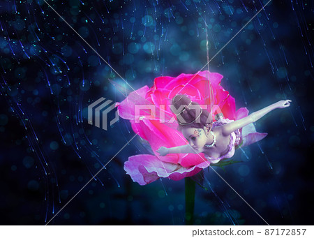 Pink rose and fairy Pink rose and fairy 87172857