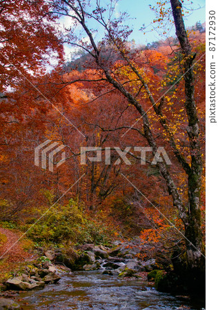 A view along the hiking trail leading to Yasuno Falls, Kitaakita City, Akita Prefecture A view along the hiking trail leading to Yasuno Falls, Kitaakita City, Akita Prefecture 87172930