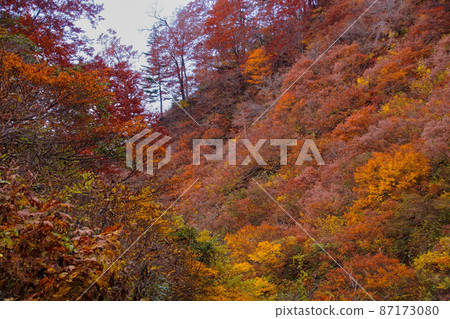 秋田縣北秋田市通往安野瀑布的遠足徑 87173080