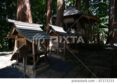 Companies under the refreshing sunlight through the trees Companies under the refreshing sunlight through the trees 87173133