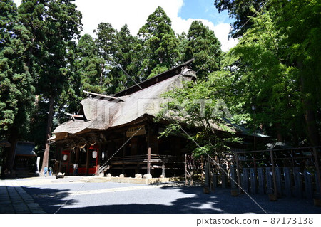 The main shrine of Kumano Taisha, surrounded by trees and filled with refreshing sunlight The main shrine of Kumano Taisha, surrounded by trees and filled with refreshing sunlight 87173138