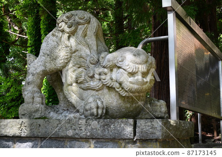 一條護衛犬在涼爽的陽光下透過樹木閃耀 一條護衛犬在涼爽的陽光下透過樹木閃耀 87173145