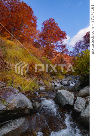 A view along the hiking trail leading to Yasuno Falls, Kitaakita City, Akita Prefecture A view along the hiking trail leading to Yasuno Falls, Kitaakita City, Akita Prefecture 87173161