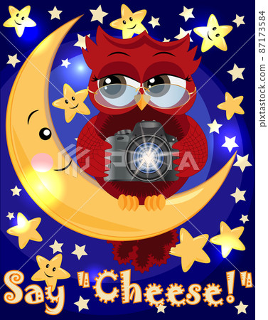 A red sweet owl wearing spectacles and with a camera sits on the moon and the stars. Photo business, photographer, vocation, profession A red sweet owl wearing spectacles and with a camera sits on the moon and the stars. Photo business, photographer, vocation, profession 87173584