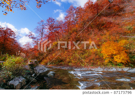 A view of the Nakanomata Valley in autumn colors, Kitaakita City, Akita Prefecture A view of the Nakanomata Valley in autumn colors, Kitaakita City, Akita Prefecture 87173796