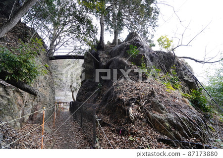 Ashikaga City, Tochigi Prefecture, Gyodoyama Jyoinji Temple, Tenkobashi seen from the opposite direction 87173880