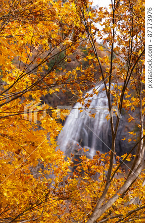 Yasu no Taki (upper) of autumn leaves Nakanomata Valley, Kitaakita City, Akita Prefecture 87173976