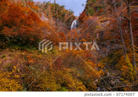 Yasu no Taki (upper) of autumn leaves Nakanomata Valley, Kitaakita City, Akita Prefecture 87174007