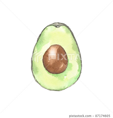 Watercolor illustrated avocado with seed. Organic green fruit. Hand drawn element for recipe, menu, logo, packaging design. Ingredient for snack, guacamole and salad. 87174605