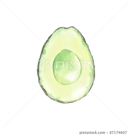 Watercolor illustrated half of avocado. Organic green fruit. Hand drawn element for recipe, menu, logo, packaging design. Ingredient for snack, guacamole and salad. Watercolor illustrated half of avocado. Organic green fruit. Hand drawn element for recipe, menu, logo, packaging design. Ingredient for snack, guacamole and salad. 87174607