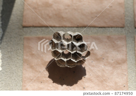 紙蜂巢 紙蜂巢 87174950