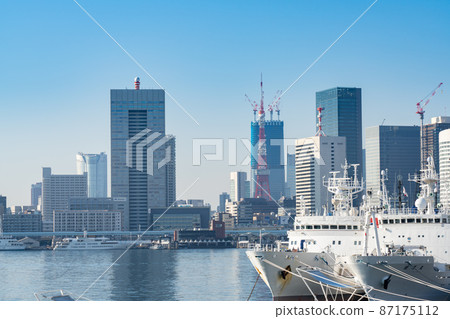 Tokyo cityscape with a view of Tokyo Tower 87175112