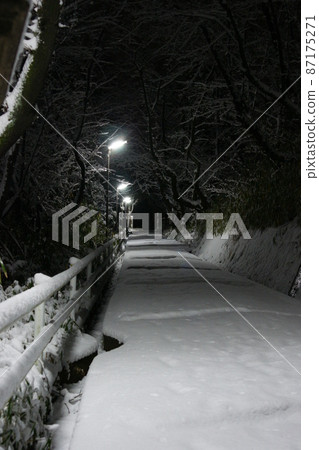 路燈照亮的雪上坡 87175271