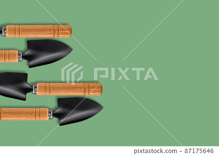 A composition of small garden blades located on the left side on a green background. The place to copy. Concept: poster for the design of advertising media for the garden and vegetable garden. 87175646