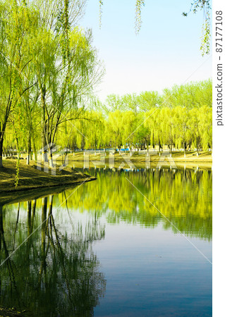 China Beijing Summer Palace misty lake and tree view 87177108