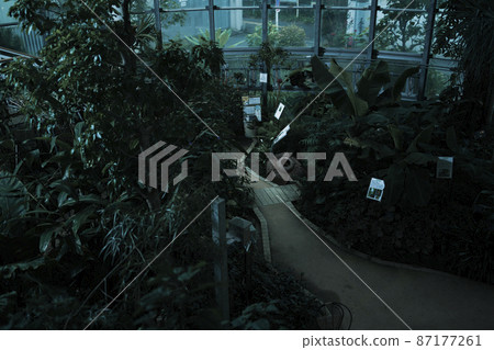 Dark botanical garden 87177261