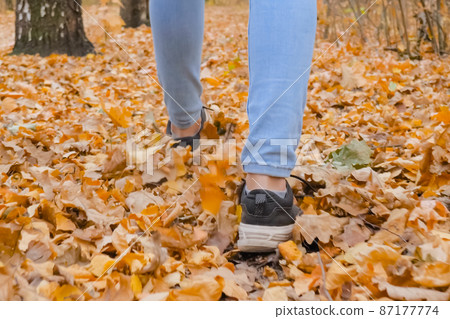 Woman legs walking on road with fallen leaves in autumn park Woman legs walking on road with fallen leaves in autumn park 87177774