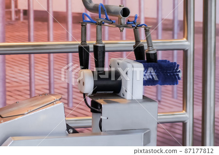 Teat brush system for stimulate, clean, disinfect cow udder at farm 87177812