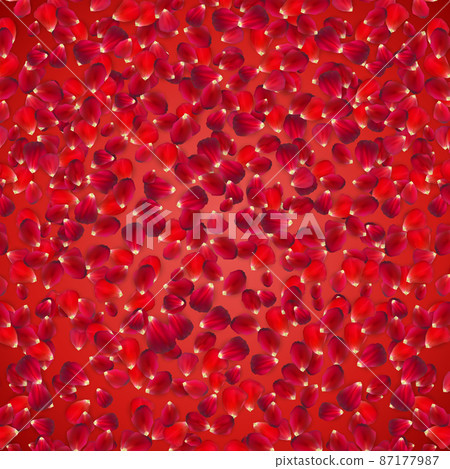 colored background of red colorful roses. Vector Illustration 87177987