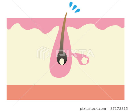 Pore image Pore image 87178815