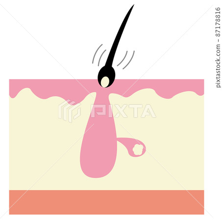 Pore image Pore image 87178816