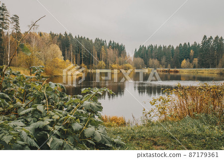 Beautiful view of the lake. 87179361