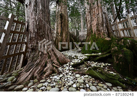 From Tamaki Shrine From Tamaki Shrine 87180248