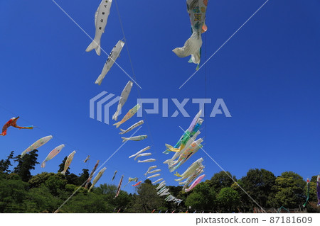 Carp streamer Carp streamer 87181609
