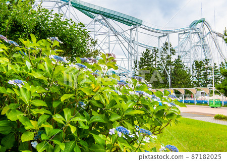 神奈川縣橫濱市八景島海上樂園-繡球花和過山車- 87182025