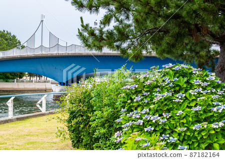八景島海上樂園,神奈川縣橫濱市-盛開的繡球花,海洋之門- 八景島海上樂園,神奈川縣橫濱市-盛開的繡球花,海洋之門- 87182164