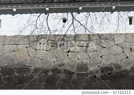 Hifei Castle and Hifei Sugi 87182213