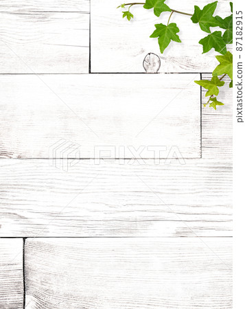 Natural background of white wood and ivy Natural background of white wood and ivy 87182915
