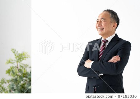 Businessman senior portrait 87183030