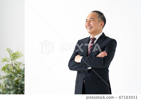 Businessman senior portrait 87183031