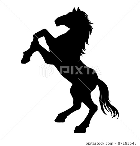 Cool black horse silhouette illustration Cool black horse silhouette illustration 87183543