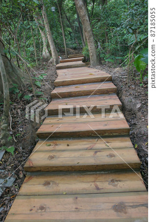 Aberdeen Nature Trail, forest with trees , Path through wood 87185055