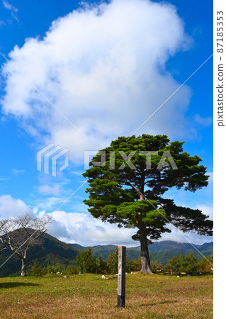 Takeda Castle Ruins, Asago City, Hyogo Prefecture Minami Senjo (Castle & Autumn Leaves & Sunny) Takeda Castle Ruins, Asago City, Hyogo Prefecture Minami Senjo (Castle & Autumn Leaves & Sunny) 87185353