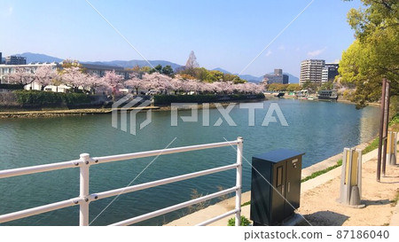Spring Hiroshima Spring Hiroshima 87186040