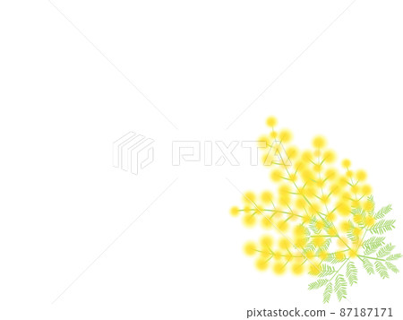 幸福花蓬鬆含羞草 87187171