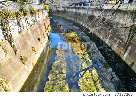 從豐橋/神田川向下游看（東京都新宿區）[2022.2] 87187206