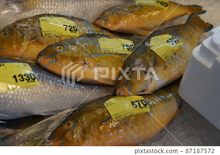 那霸魚町魚市場 那霸魚町魚市場 87187572