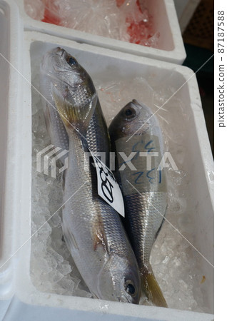 那霸魚町魚市場 那霸魚町魚市場 87187588