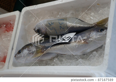 那霸魚町魚市場 那霸魚町魚市場 87187589