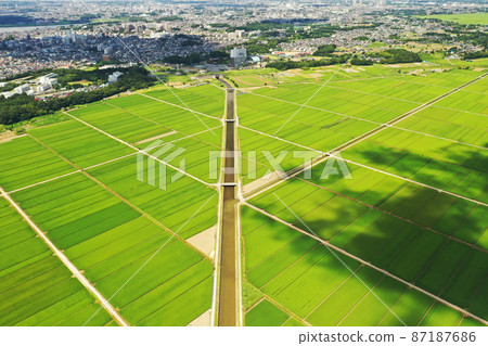 Aerial view of paddy field scenery in Abiko city 87187686