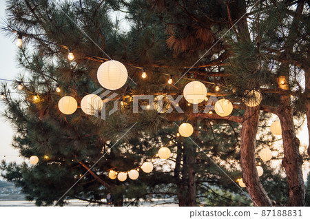 Decorative outdoor string lights hanging on tree in the garden at night time 87188831