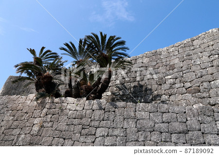 Okinawa castle Blue sky and cycads that shine on the walls Okinawa castle Blue sky and cycads that shine on the walls 87189092