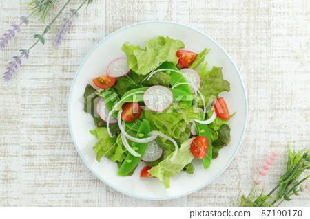 用蘿蔔“Lady Salad”做沙拉的新鮮沙拉 87190170