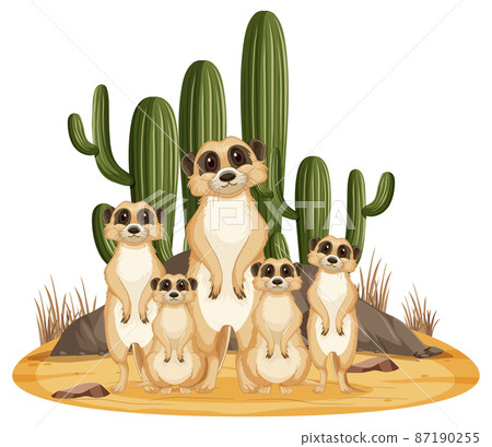 Isolated nature scene with meerkat family Isolated nature scene with meerkat family 87190255
