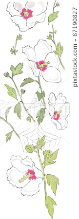 Summer white flower Mukuge left frame 87190827